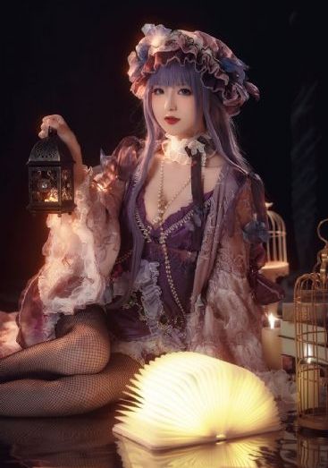 理智派生活电视剧免费观看完整版
