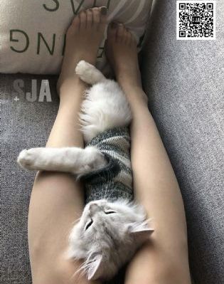 做你的爱人3