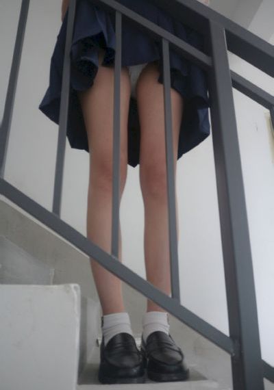灯草花和灯高清免费