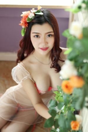 航海王在线观看