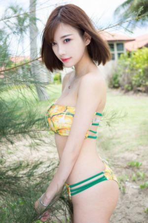 风吹半夏电视剧免费看高清