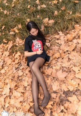 铁齿铜牙纪晓岚 电视剧
