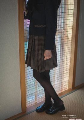女婿回乡