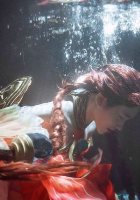 新流星花园