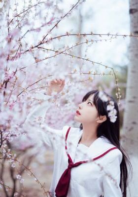 啦啦啦视频在线播放
