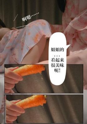 流星网